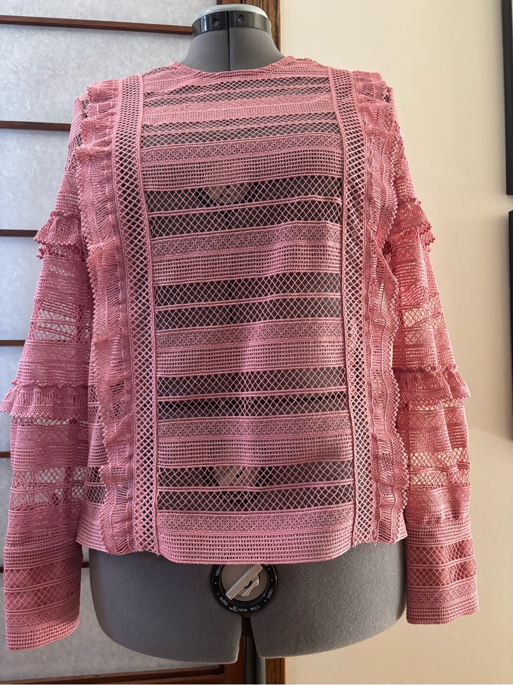 VGUC Self-Portrait Dusty Pink Lace Ruffle Blouse US 8